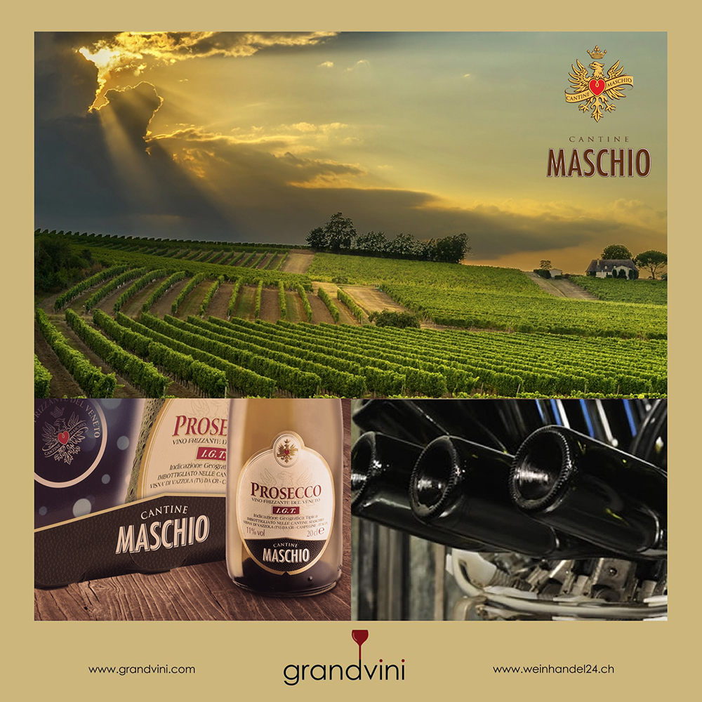 Cantine Maschio Weinhandel24.ch Magazine