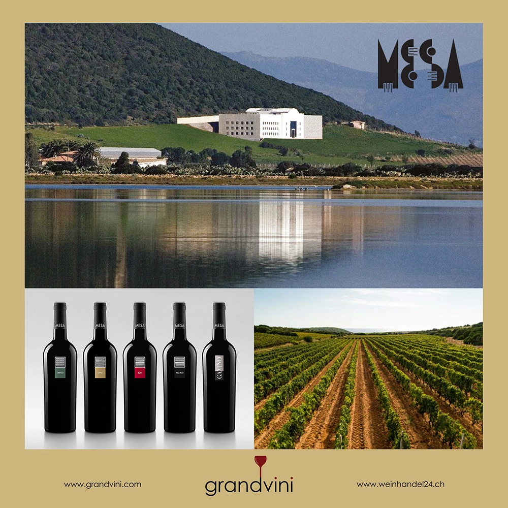 Cantina Mesa Weinhandel24.ch Magazine