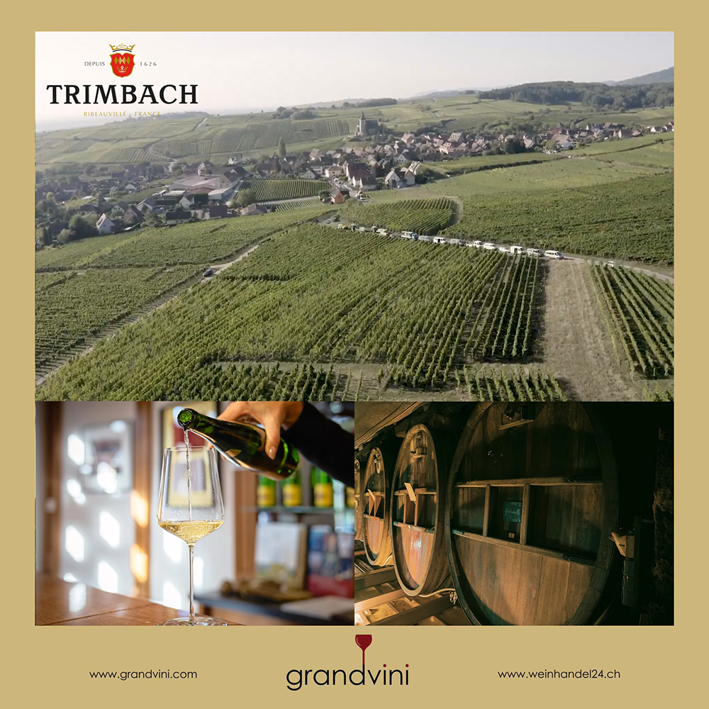 F.E. Trimbach Weinhandel24.ch Magazine