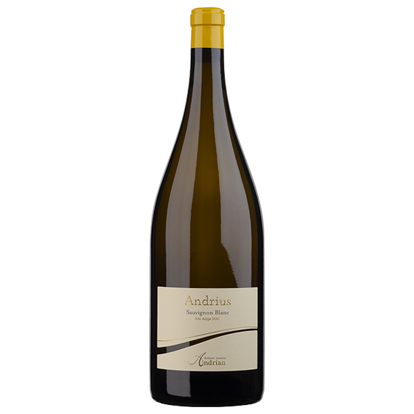 Cantina Andrian Andrius Sauvignon Blanc DOC Magnum - 2021