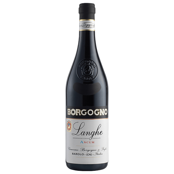 Borgogno Langhe Ancum Dolcetto - 2021