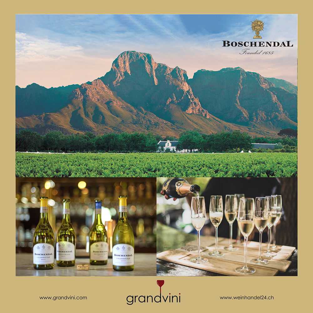 Boschendal Weinhandel24.ch Magazine