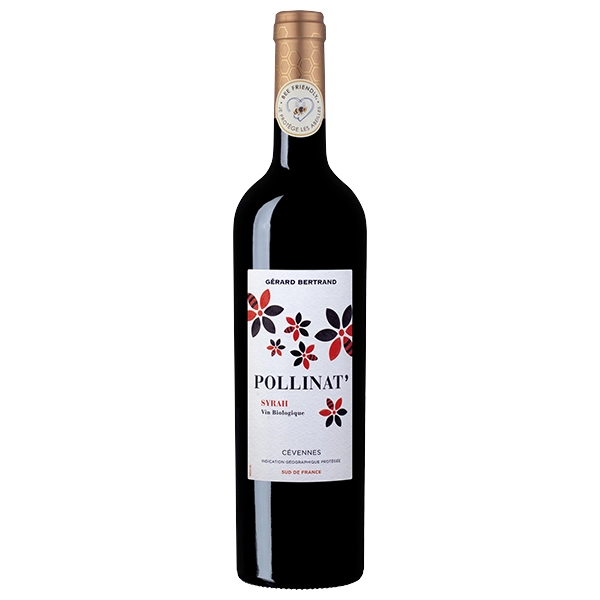 Pollinat Syrah 2019