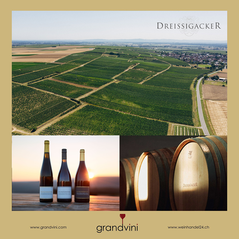 Weingut Dreissigacker Weinhandel24.ch Magazine