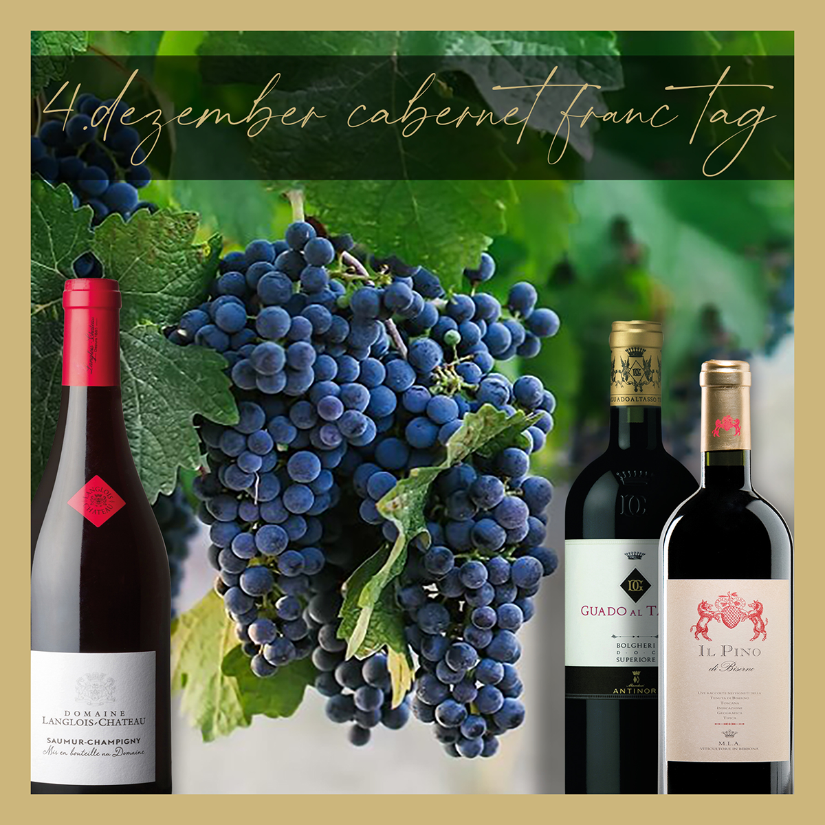 4. Dezember Cabernet-Franc-Tag