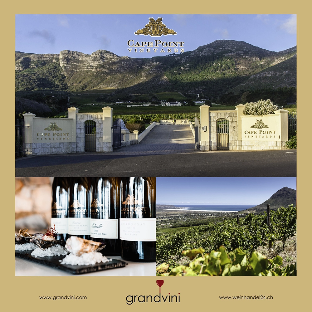 Cape Point Vineyards Weinhandel24.ch Magazine