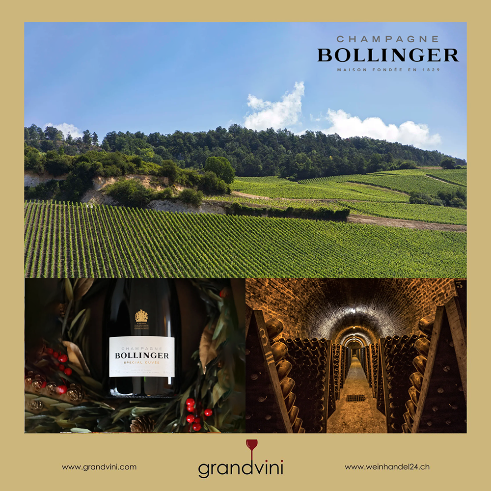 Champagne Bollinger Weinhandel24.ch Magazine