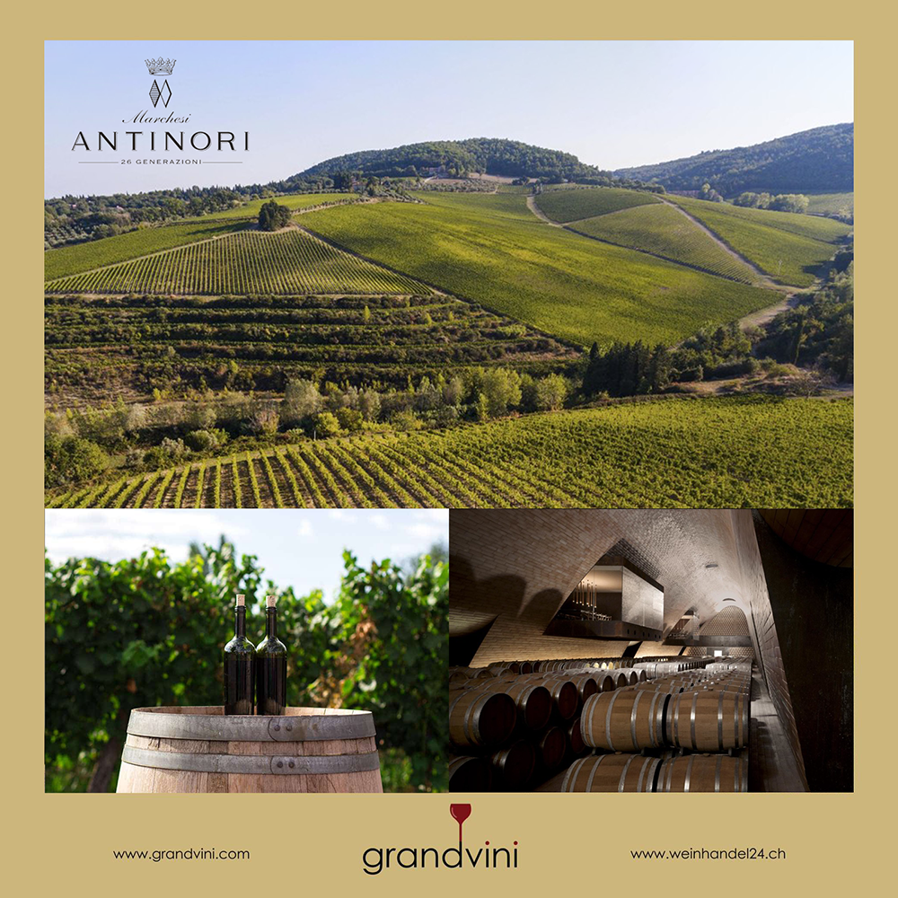 Marchesi Antinori Weinhandel24.ch Magazine