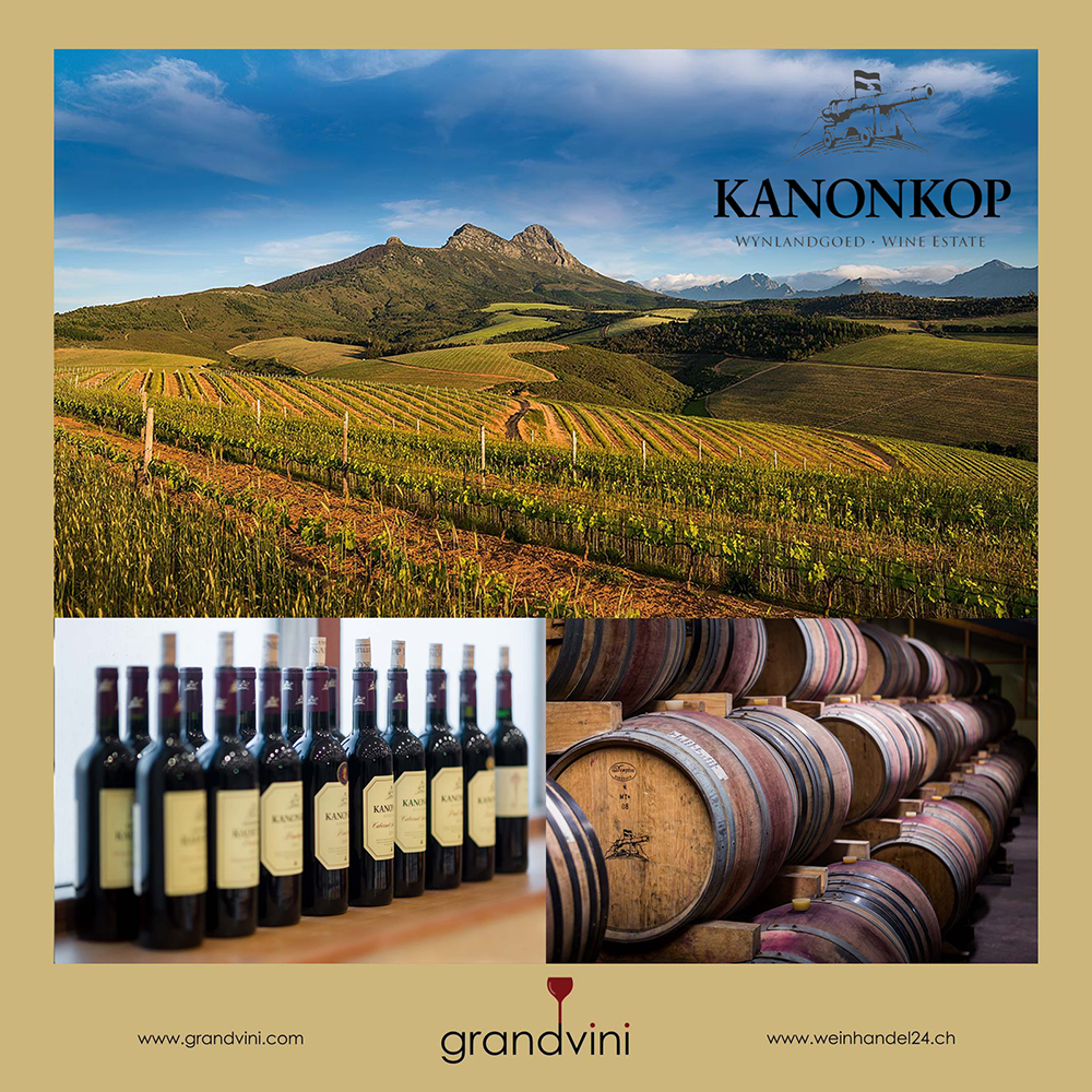 Weingut Kanonkop Weinhandel24.ch Magazine