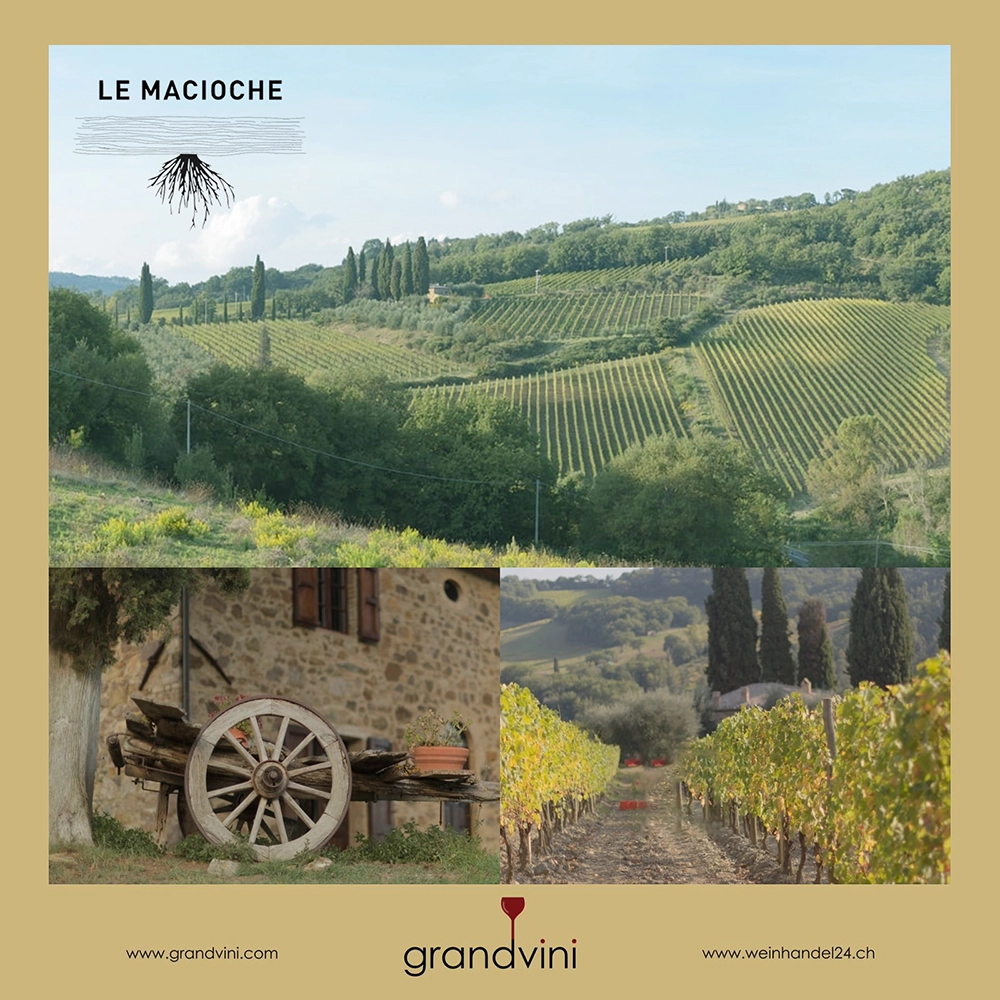 Le Macioche Weinhandel24.ch Magazine