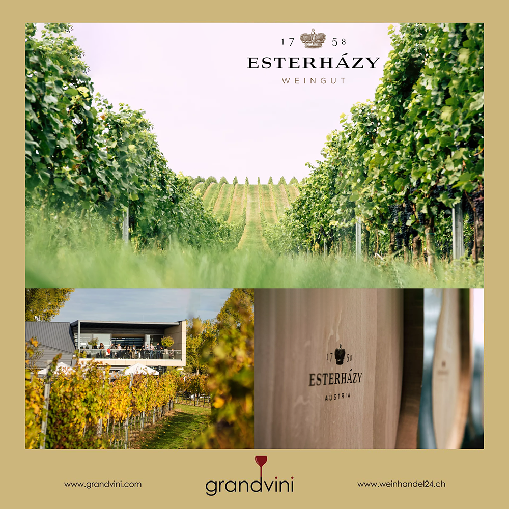 Esterhazy Weingut Weinhandel24.ch Magazine